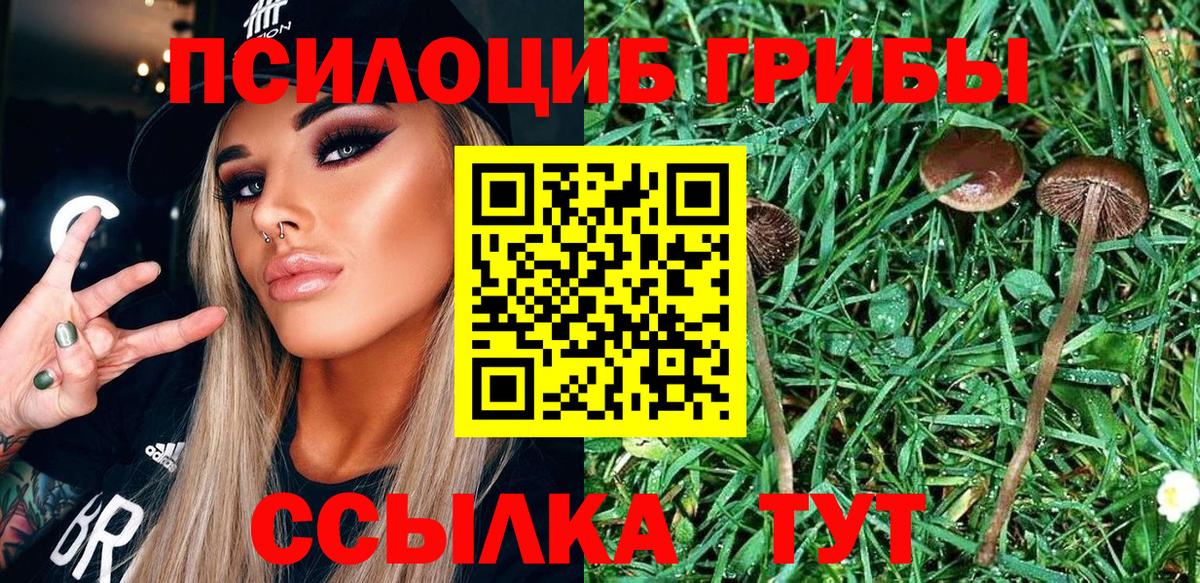 Туймазы  наркошоп  Вход с VPN  Галлюциногенные грибы ЛСД  Псилоцибиновые грибы Cubensis 